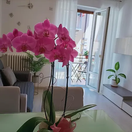 Jessy Apartamento *